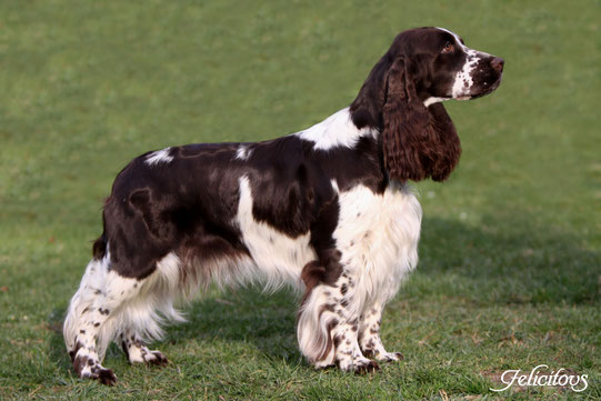 Hermine's Mama Charmin