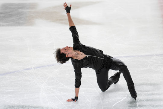 © Alice Alvarez / François Pitot