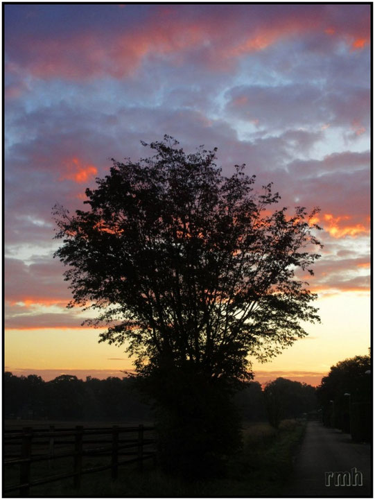 a new day