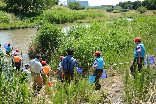 河川・魚類調査に取り組む「藤田小学校」の生徒たち