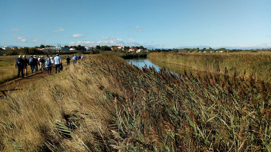 La marche de Randos Canétoises du 26 septembre 2017 a lieu à Saint Nazaire vers l'étang de canet - saint nazaire