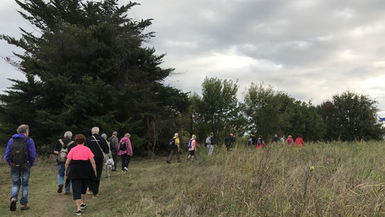 La marche de Randos Canétoises du 3 octobre 2017 a Canet vers l'embouchure de la Têt