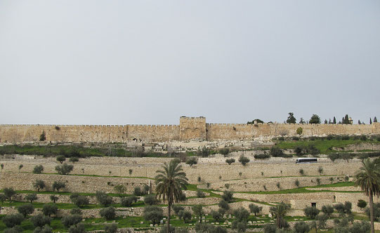 The Kidron Valley and the gates of Mercy