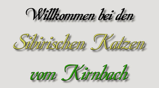 sibirer-vom-kirnbachs Webseite!