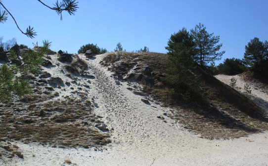 On pourrait croire que la soeur de la dune du Pilat est arrivée ici !