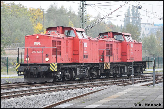 202 822-3 (WFL Lok 15) und 202 453-7 (WFL Lok 16) überraschen mich am 8. Oktober 2015 in Chemnitz Hbf.