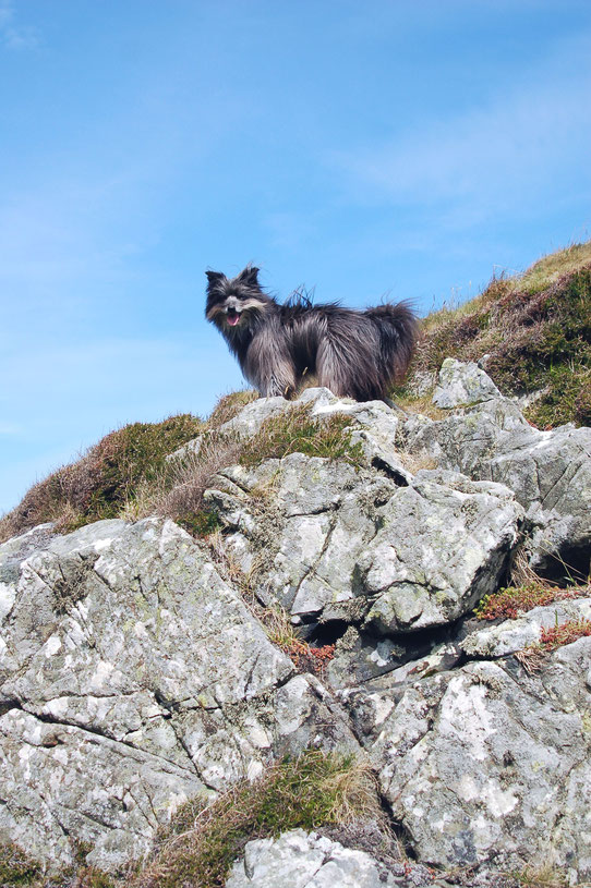 Torr Head: Lady hüpft über Felsen wie eine Bergziege...