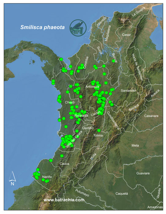 Smilisca phaeota, registros en Colombia