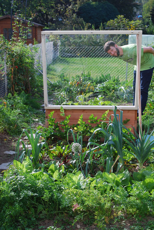 lerning by doing - unser Garten 2017