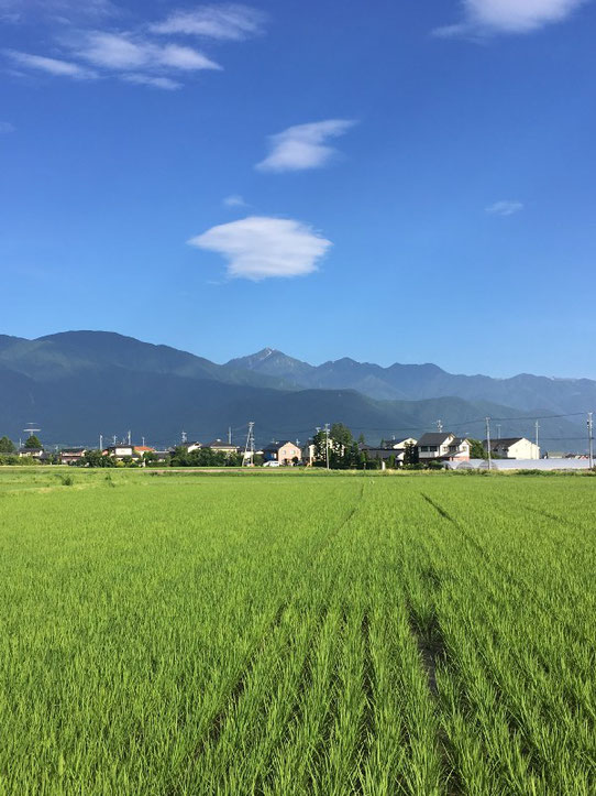 安曇野　松本市　常念岳　安曇野の初夏