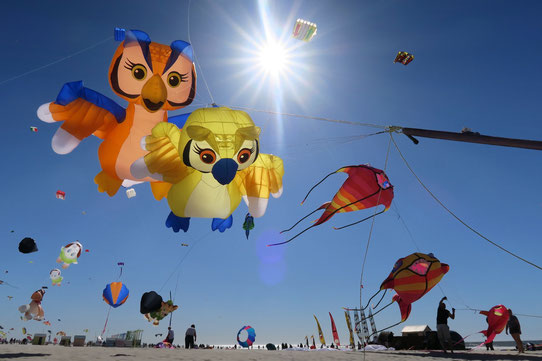 Berck rencontres cerf-volant