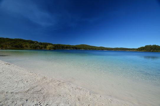 Visiter Fraser Island en Hummer !  Le-lac-mckenzie-fraser-island-copyright-trip85-com