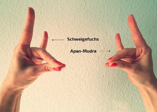 Apan-Mudra