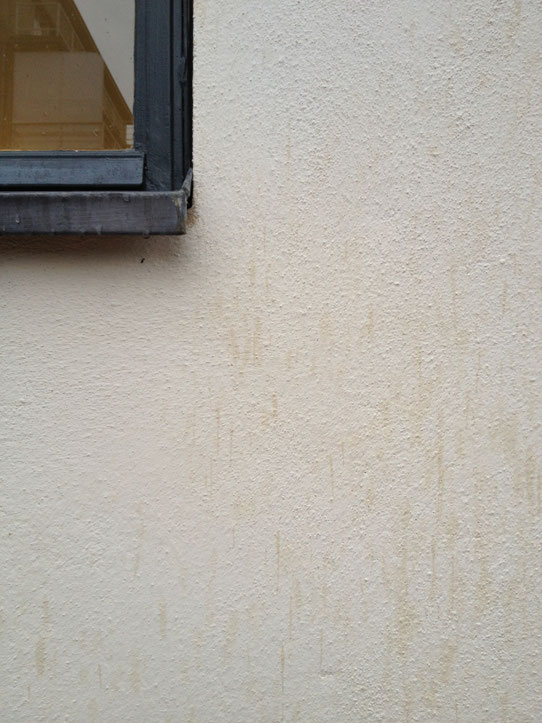 Haus Tugendhat, Brno, Nordwestfassade, Detail. Die Fassade ist in traditioneller Technik mit Kalktünche repariert. Regentropfen können in die hydrophile Oberfläche eindringen und führen zur Selbstheilung der Kalkmatrix. Foto: Ivo H-T 2023 