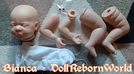 Reborn Babys bianca dollrebornworlds Webseite