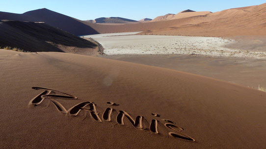 Rainis Vlei