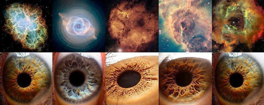 Dr Bruce Lipton Reprogrammer Ses Croyances Pdf LES TROUS NOIRS/BLANC - Site de coeurfractal