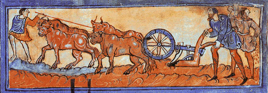 A medieval picture of ploughing using oxen