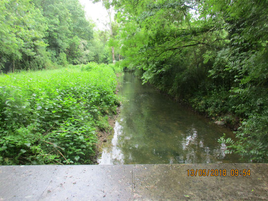 De l'eau et de la fraîcheur,  pour la verdure c'est idéal