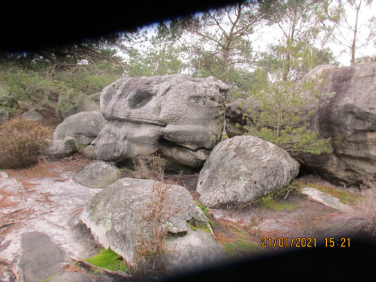 Il y a de drôles de rochers dans cette forêt, on dirait des monstres pétrifiés
