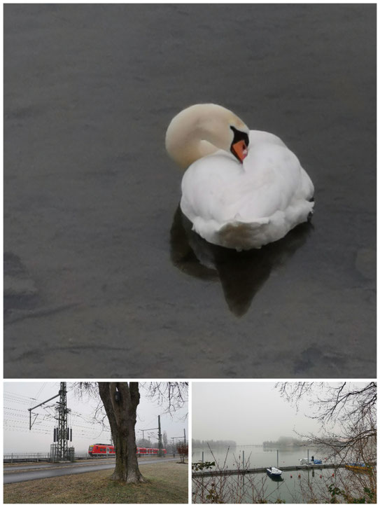 Lindau im Nebel hat auch seine Reize