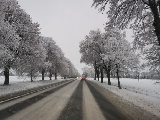 Verschneite Winterlandschaft 