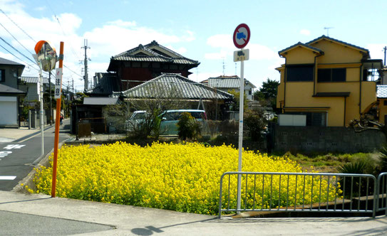 ここが箕面駅東の「ミニオアシス空間」。右手前の柵の向こうにはホタル飛ぶ小川が・・。