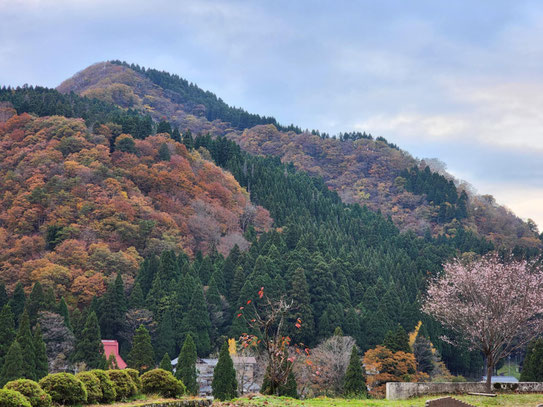 テラヨガ鯖江(福井 鯖江)