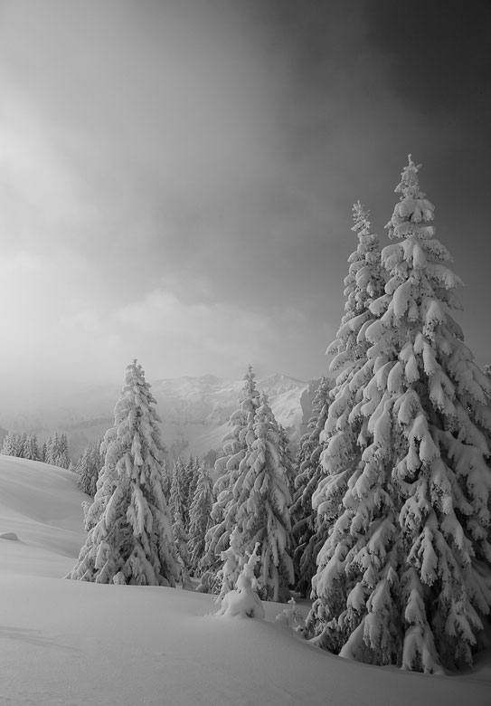 MG0847 • Mystère et boules de neige •