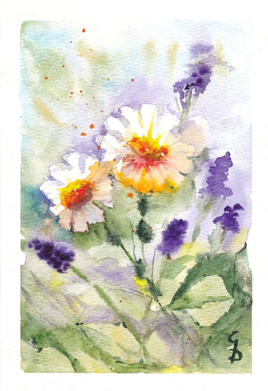 Blumenwiese 4, 18x12,5cm,  100€