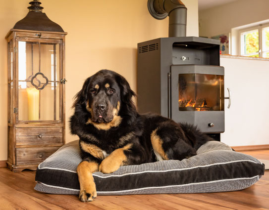 Hundekissen Fur Grosse Hunde antistress hundebett