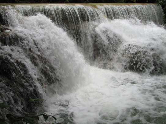 Op een scootertje bezoeken we de Kouang Si waterfall die op zo'n 28km. van Luang Prabang ligt. Een trappenwaterval met zelfs zwemmogelijkheden.....