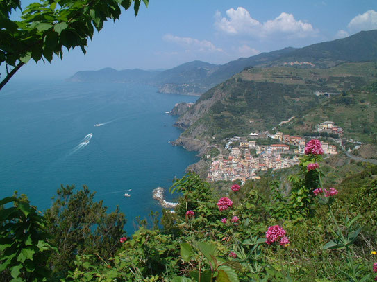 Uitzicht op een groot deel van de kustlijn van de Riviera di Levante dat zich uitstrekt van Monterosso al Mare tot Riomaggiore. De dorpengroep van Cinque Terre.