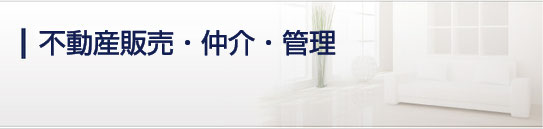 保険のご案内