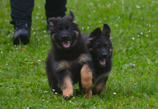 Nisha und Nela