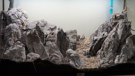 Greenscaping Aquascape während der Einrichtung