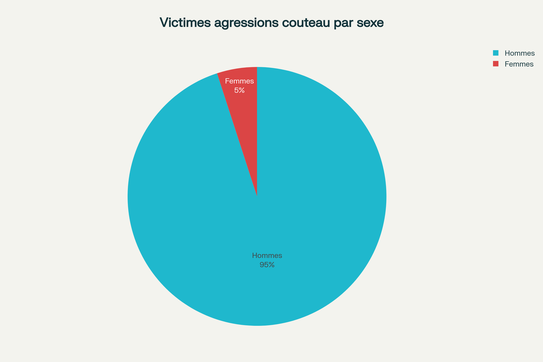 Répartition par sexe des victimes d'agressions au couteau - Prédominance masculine (95% des cas)