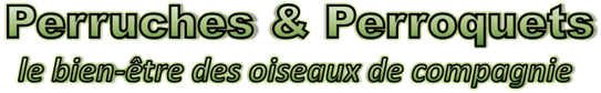 Perruches et perroquets