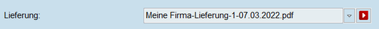 Lieferung Formular PDF anzeigen