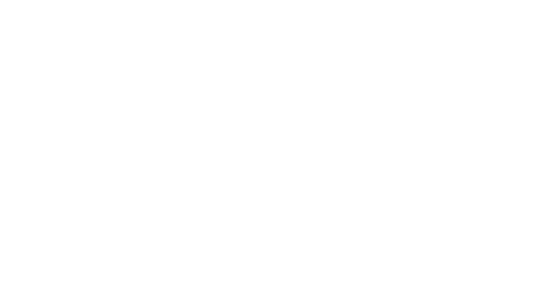 SOLID AGE