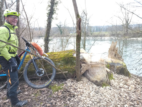 viele Trails führen direkt am Ufer der Reuss entlang.