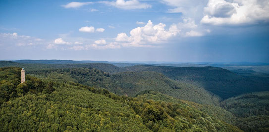 Einzigartig: Das Bosphärenreservat Pfälzerwald mit dem Luitpoldsturm. Jeder Energiespargel würde das Auge beleidigen Fotos: Initiative Pro Pfälzerwald