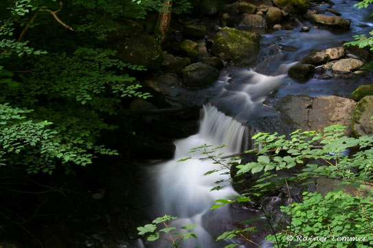 Holzbachschlucht