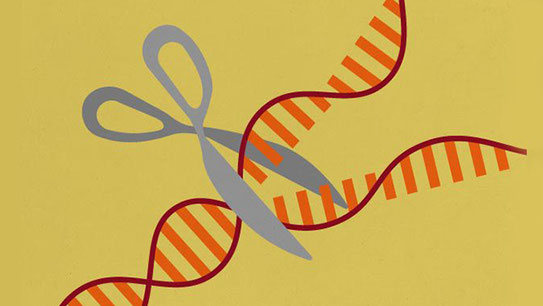 CRISPR-Cas9 - TOP publications 2017