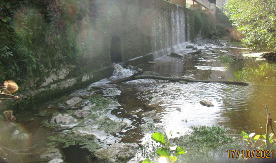 Interdit de se baigner ni de boire de cette eau saumâtre envahie de détritus