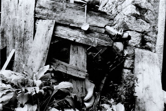 Delphicaphoto Foto del Vajont, reportage femminile visitando i luoghi della tragedia