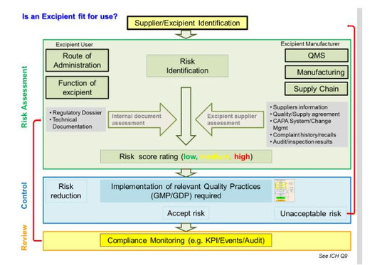 Risk Assessment of Excipients