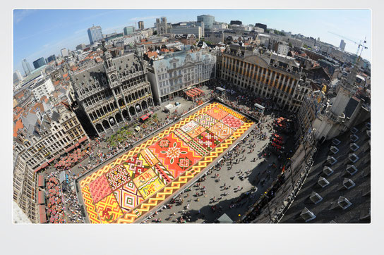 Brussels, Belgium, top destinations, Flower carpet, Tapis de Fleur, Europe