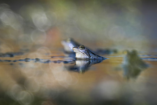 Fotograaf: Elles Rijsdijk