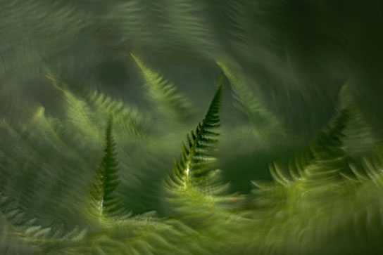 Fotograaf: Connie de With